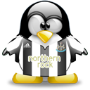 Penguin pingouin pinguino 801